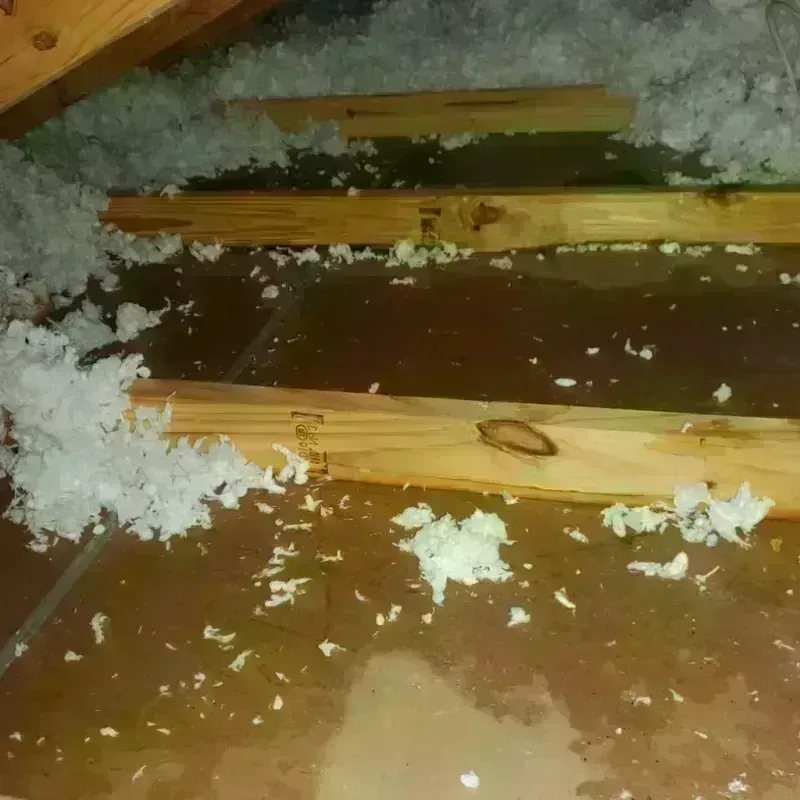 Attic Water Damage in Saint Clair County, MI